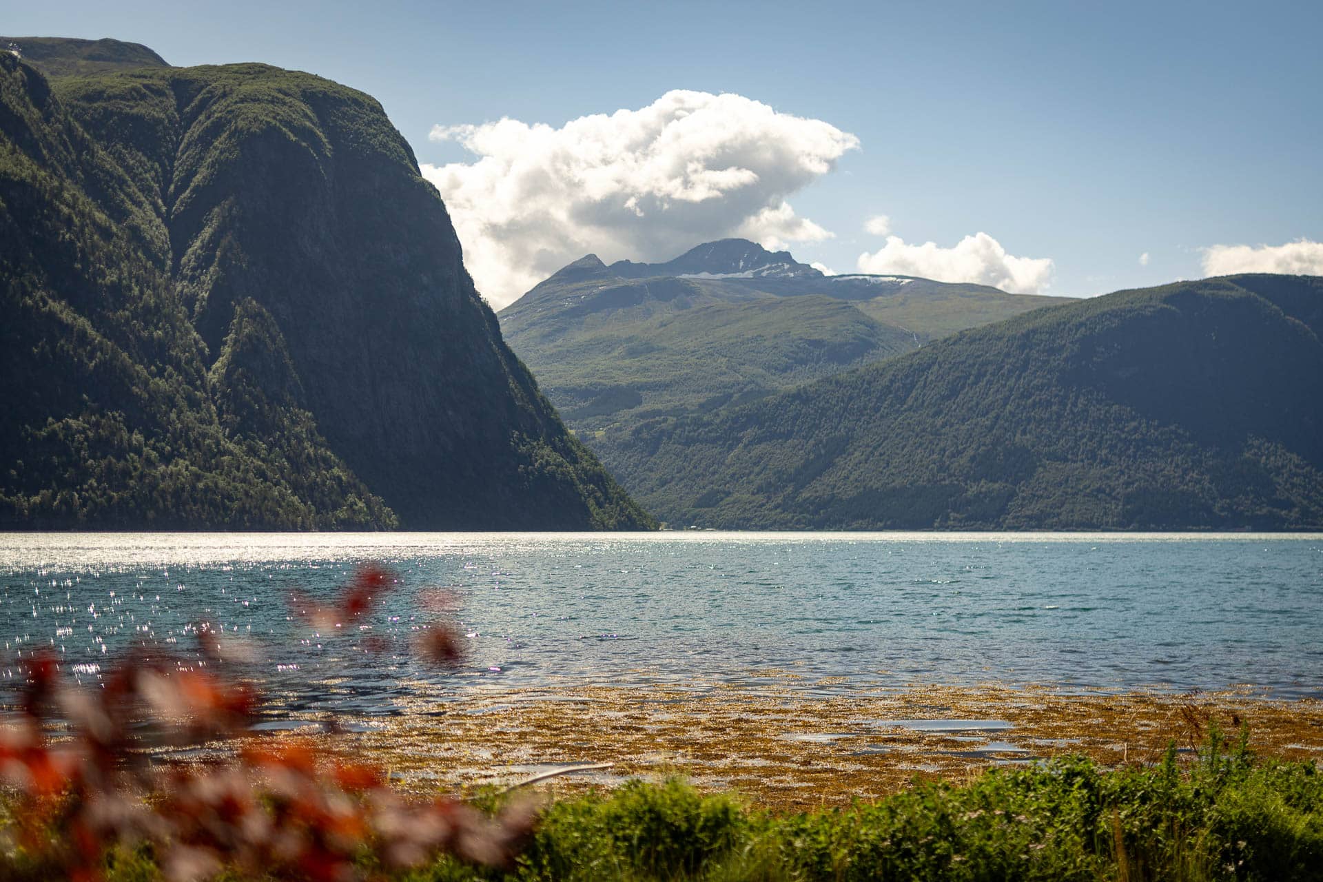 Fjord og bratte fjell ved Valldal på Sunnmøre